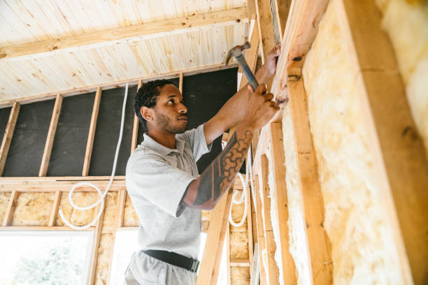 Best Attic Insulation Installation  in Crown Pot, IN