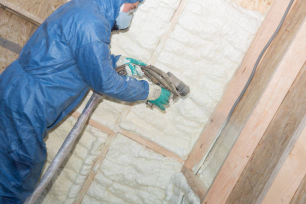 Reliable Crown Point, IN Insulation Solutions